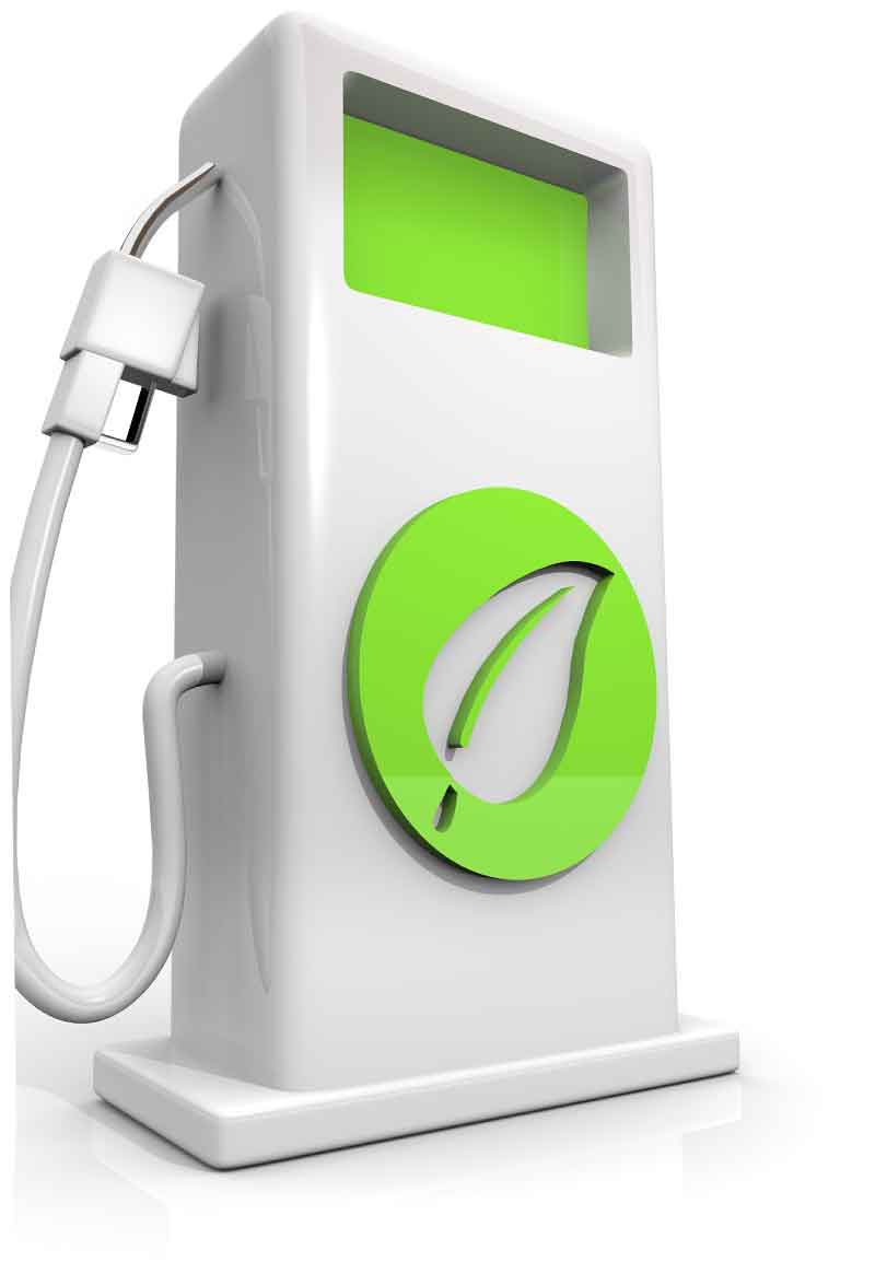 Alternatives Untitled 11