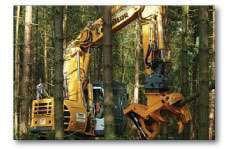 Shear Useful Untitled 1