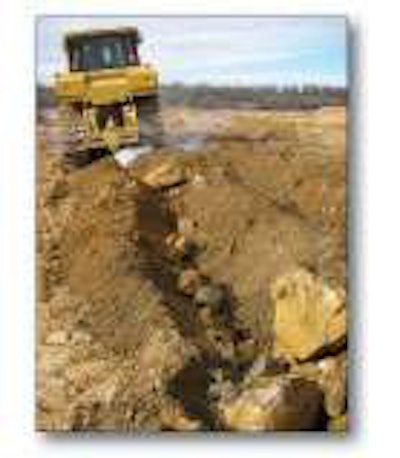 Single Shank Improves Untitled 1