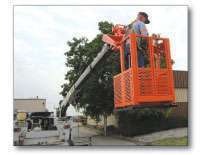 Store Basket On Untitled 1