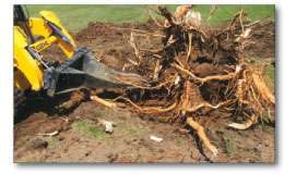 Slicwe Stum Untitled 1