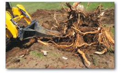 Slicwe Stum Untitled 1