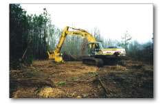 Self Powere Untitled 1