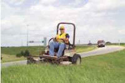 Seven Grasshopper Untitled 1