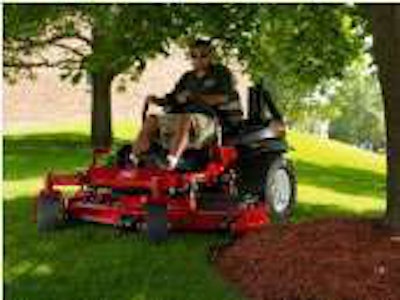 Three Toro Untitled 1