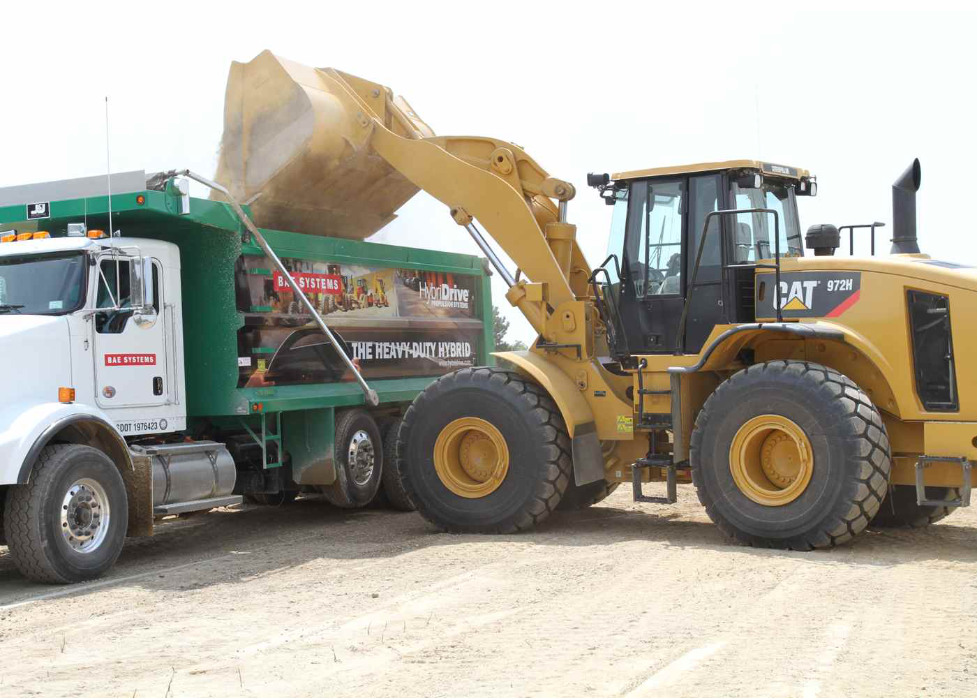 Cat Press Release Image