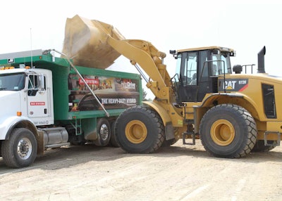 Cat Press Release Image