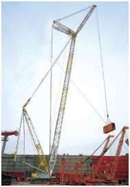 Adaptable Crane Untitled 1