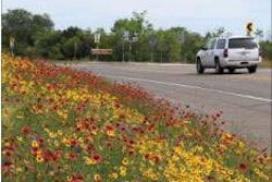 The grass and weeds growing along roadsides may be a constant, but who’s responsible for controlling that vegetation is anything but – especially in this era of dwindling agency budgets.