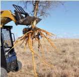 Attachment Untitled 1