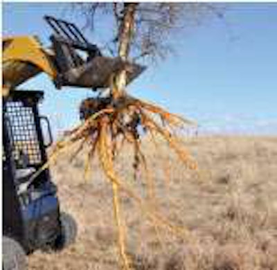 Attachment Untitled 1