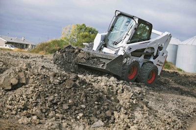 Bobcat low res