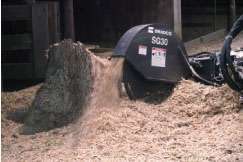 Adjustable Spee Untitled 1