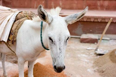 About three-quarter horsepower.