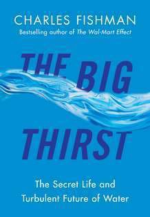 Big Thirst Cover Custom1