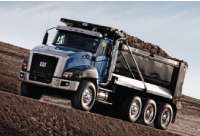 What About Cat Untitled 1