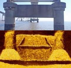 Mosaic created from two elevation images taken from sonar deployed on pier mounted bracket system
