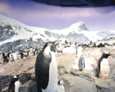Recommended by EMJ Corporation, the Tennessee Aquarium tapped Counts to handle the complicated process of building and waterproofing a tank for their penguin exhibit.
