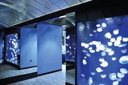 Some of Counts’ handiwork can be seen at the jellyfish exhibit at the Tennessee Aquarium.