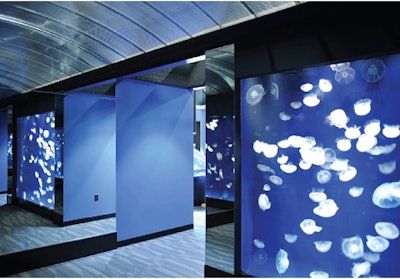 Some of Counts’ handiwork can be seen at the jellyfish exhibit at the Tennessee Aquarium.