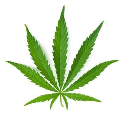 pot leaf