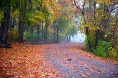 Shutterstock 20721775