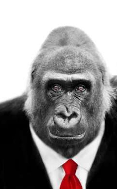 Shutterstock 34357852