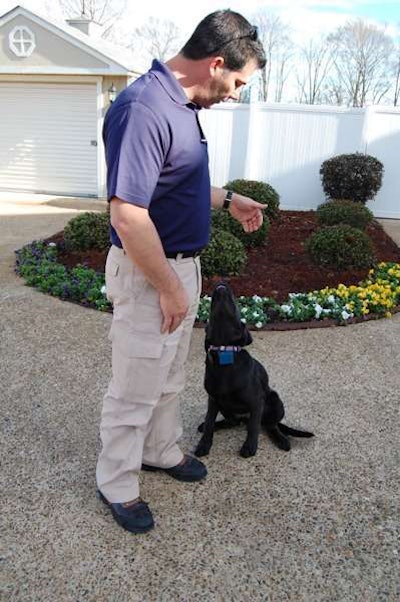 Paver Chris Fink and his dog Slate.