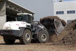 Terex TL310
