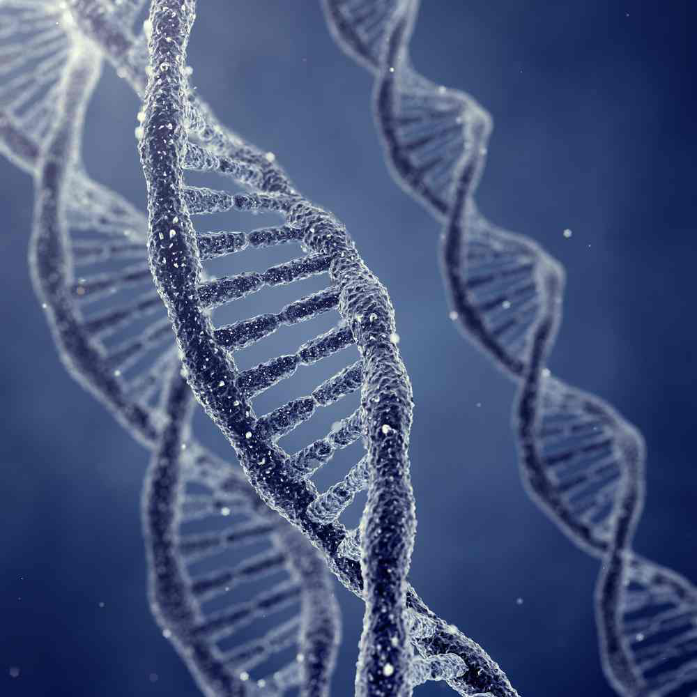 Shutterstock 116931397