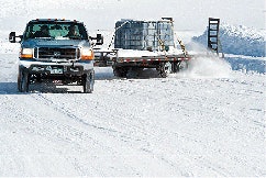 handling-iceUntitled-1