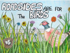 Seventh grader Vicky Evans of Cold Spring, Minn., drew this poster, which was a finalist in MnDOT’s “Roadsides are for the Birds” poster contest.
