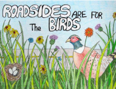 Seventh grader Vicky Evans of Cold Spring, Minn., drew this poster, which was a finalist in MnDOT’s “Roadsides are for the Birds” poster contest.
