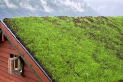 green roof photosynthesis