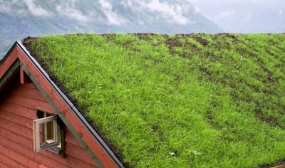 green roof photosynthesis