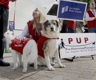 Two PUP dogs and a handler sit at LAX. (Photo: Huffington Post)