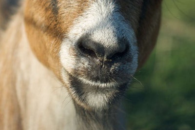 (Photo: Pete Markham / Flickr)