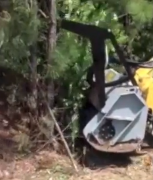 FAE DML/SSL mulcher head