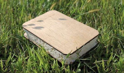 Insulation formed by mycelium, a component of a fungus. Credit: DesignBuildSource