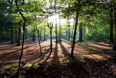 shutterstock_80737924[1]