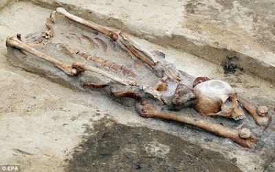Remains of an accused vampire from the Middle Ages with the skull placed between the legs.