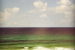 Credit: Wayne Grayson