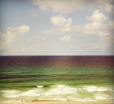 Credit: Wayne Grayson