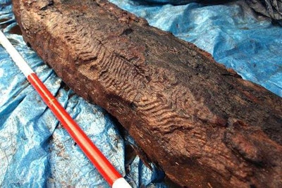 Credit: Wales Online