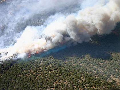 (Photo: Wisconsin DNR)