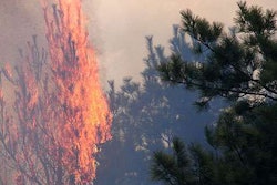 (Photo: Wisconsin DNR)