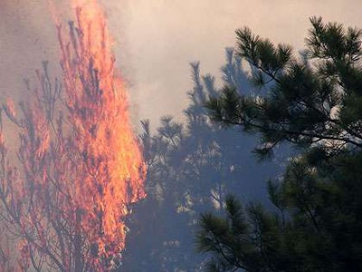 (Photo: Wisconsin DNR)