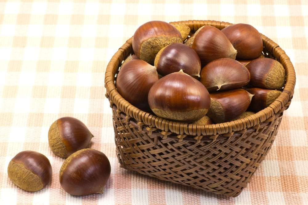 chestnuts