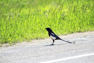 shutterstock_143105053