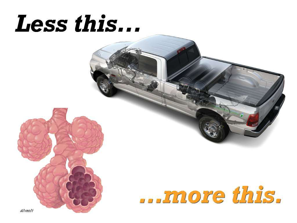 Chrysler CNG fuel tank modeled after lungs